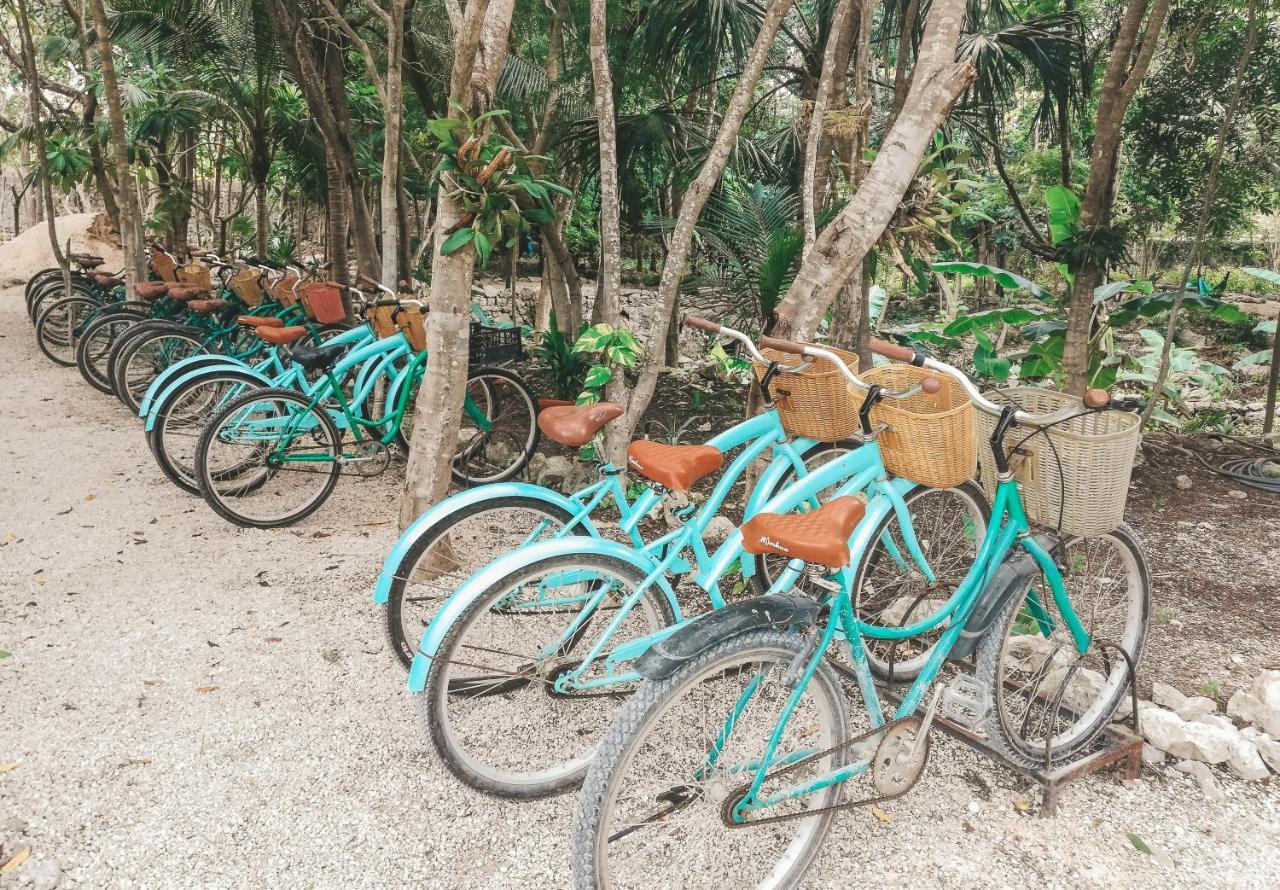 Akumal Natura Glamping Extérieur photo