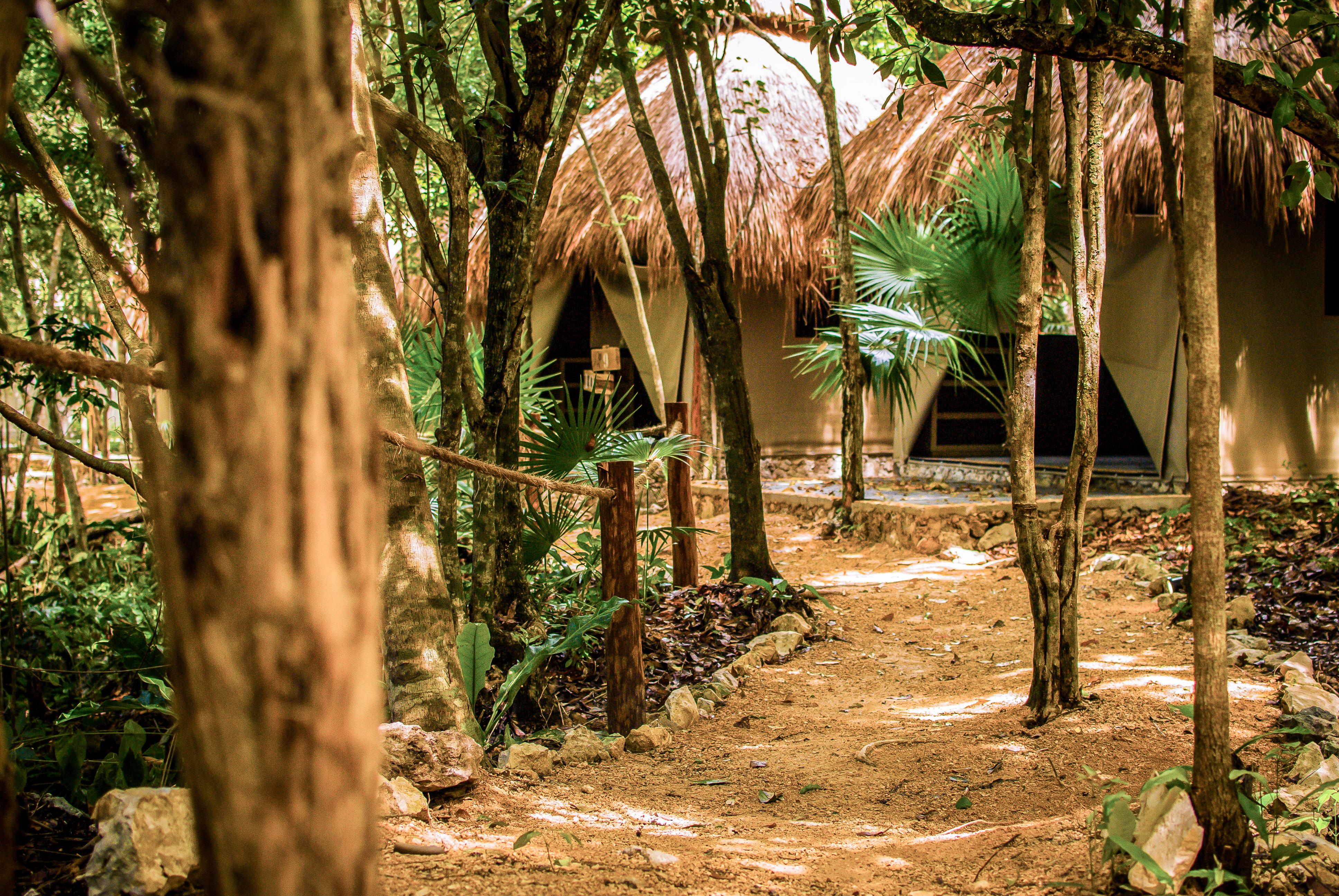 Akumal Natura Glamping Extérieur photo