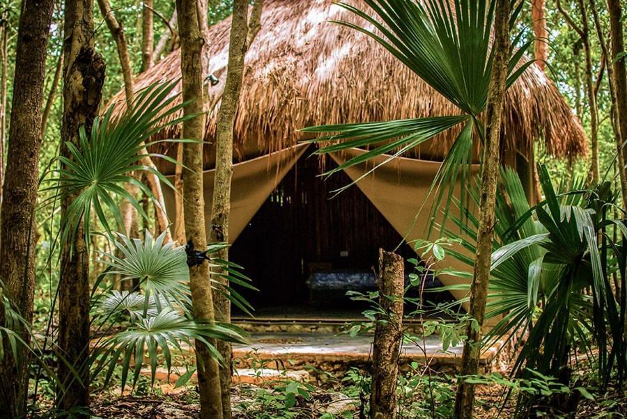 Akumal Natura Glamping Extérieur photo