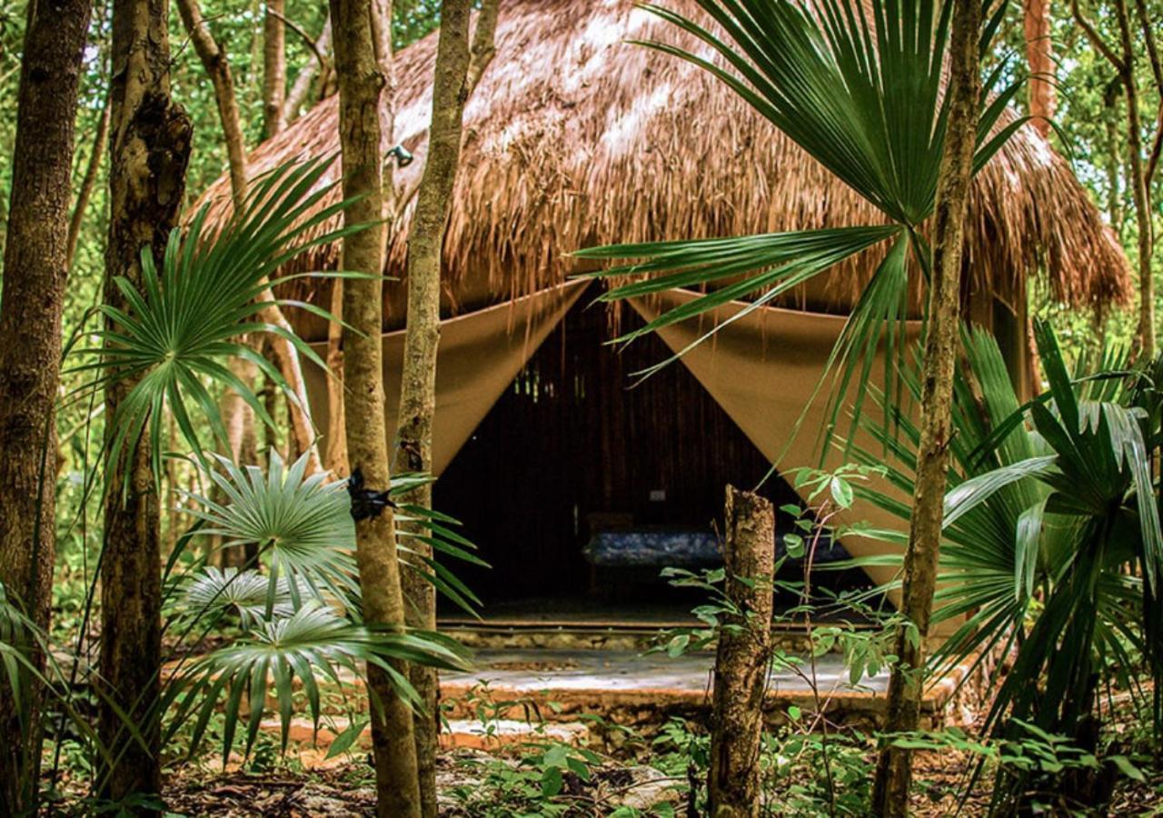 Akumal Natura Glamping Extérieur photo